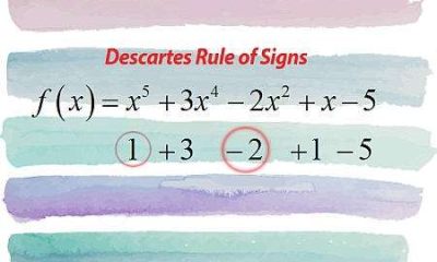 Descartes' Rule of Signs